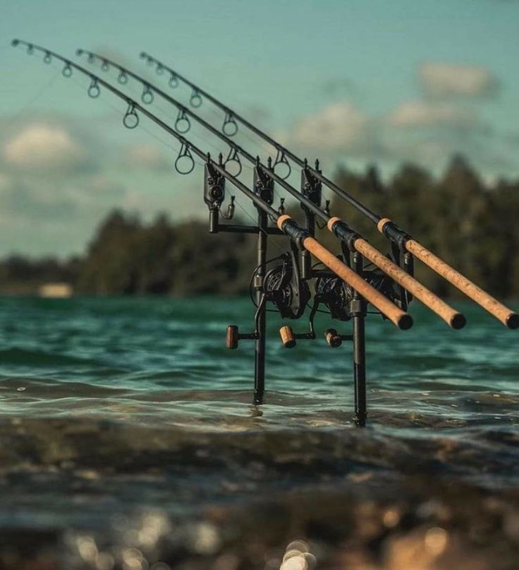 Hengelsport in Nieuwegein